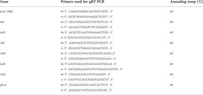 A novel phenolic derivative inhibits AHL-dependent quorum sensing signaling in Pseudomonas aeruginosa